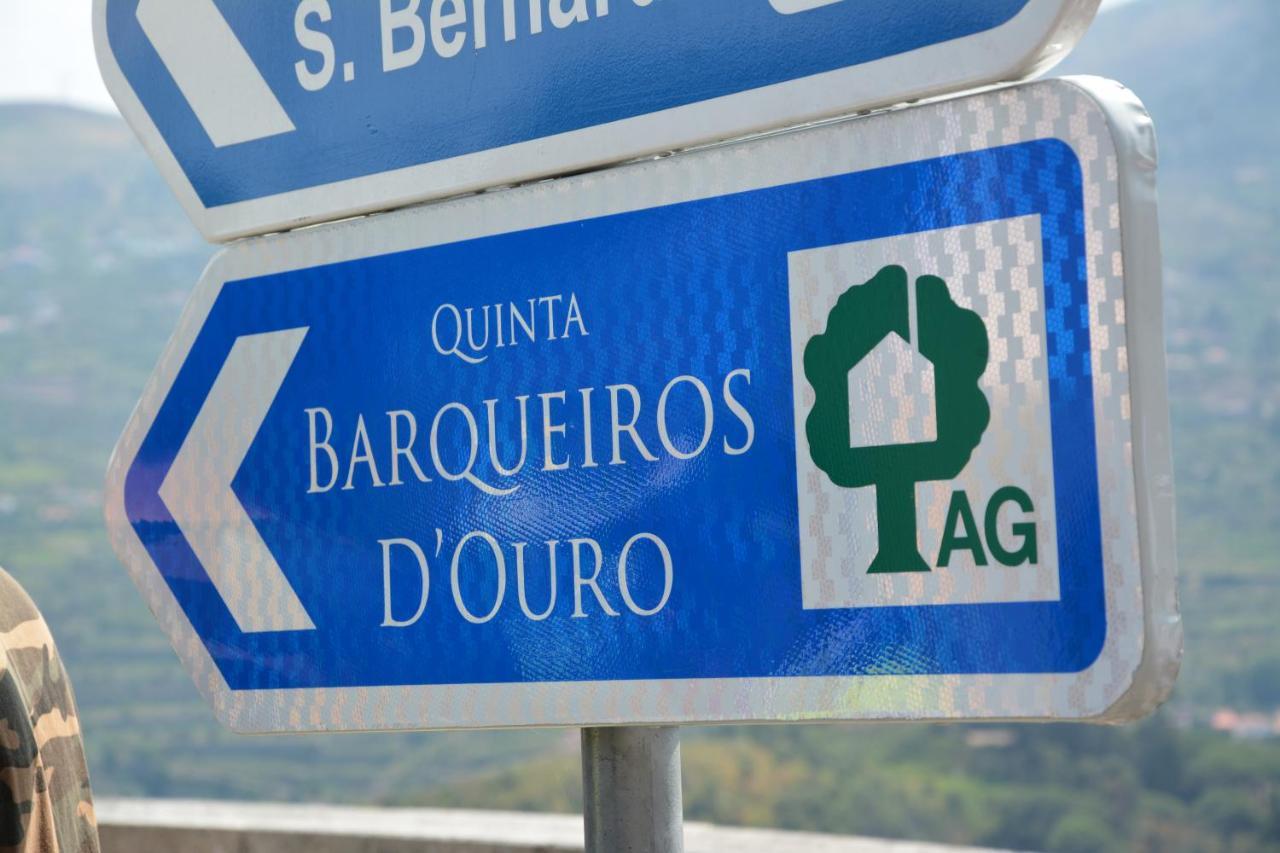 Quinta Barqueiros D'Ouro - Casa Da Musica Villa Mesao Frio Bagian luar foto
