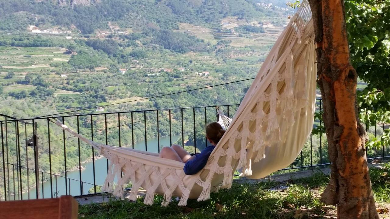 Quinta Barqueiros D'Ouro - Casa Da Musica Villa Mesao Frio Bagian luar foto