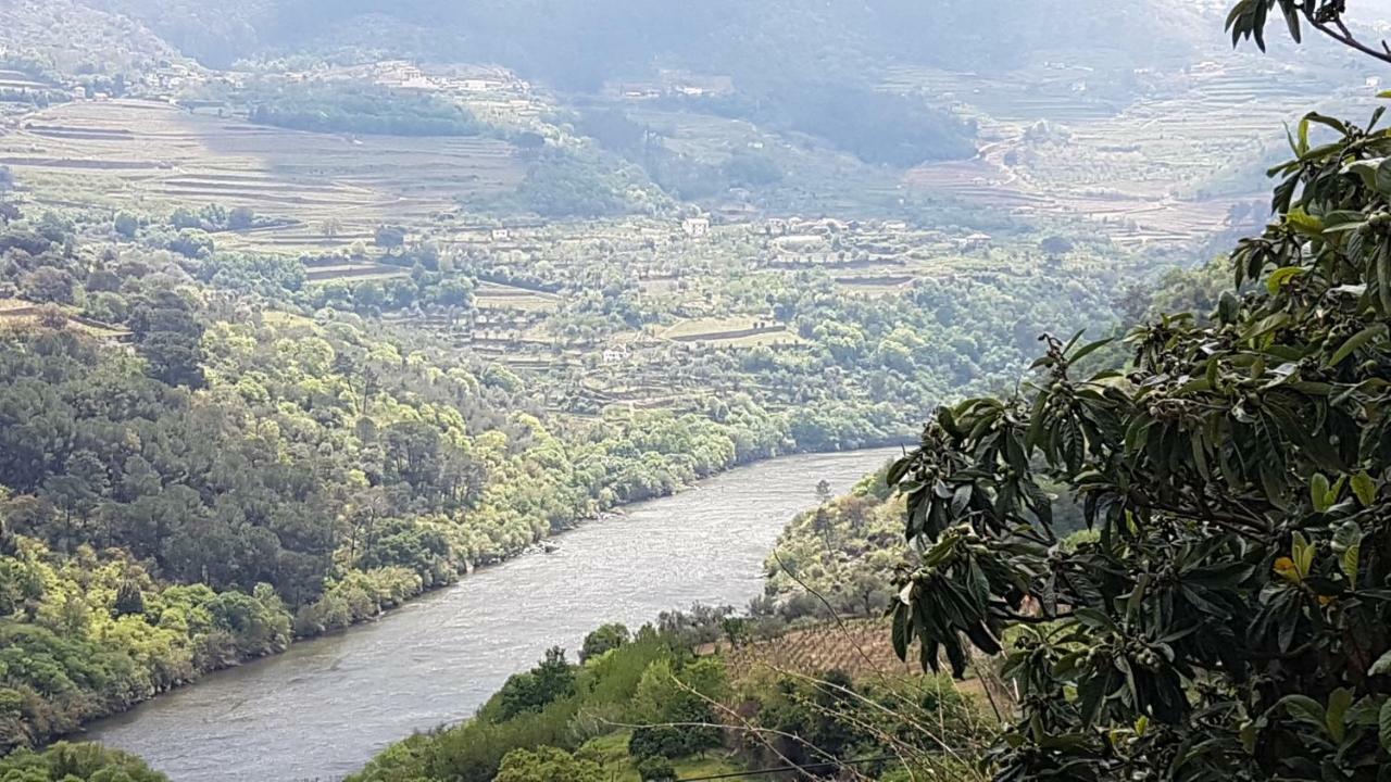 Quinta Barqueiros D'Ouro - Casa Da Musica Villa Mesao Frio Bagian luar foto
